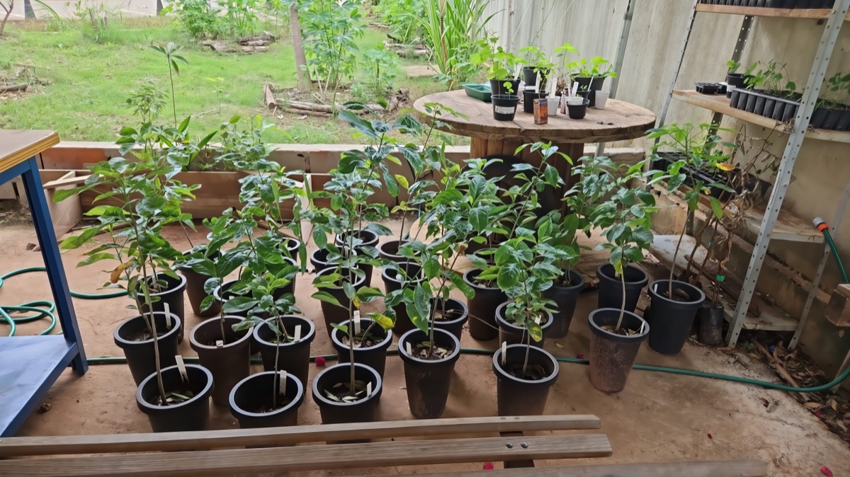 Equipe Afrobaob&aacute;